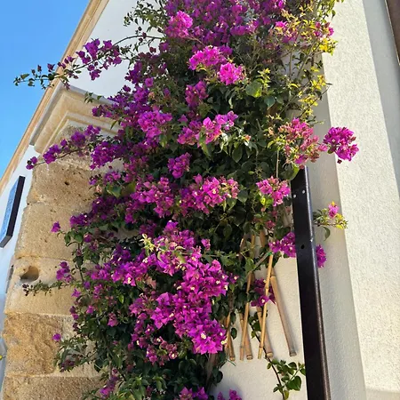 Il Casalino 4*